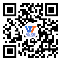 手機網(wǎng)站