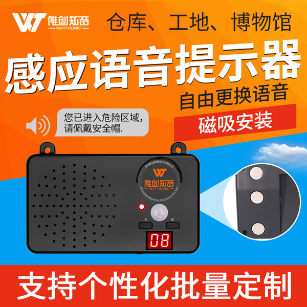 WT-E10 戶外感應(yīng)語音提示器