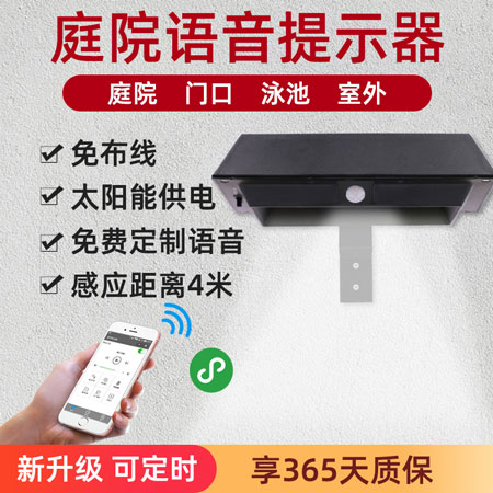WT-WS4庭院語(yǔ)音提示器