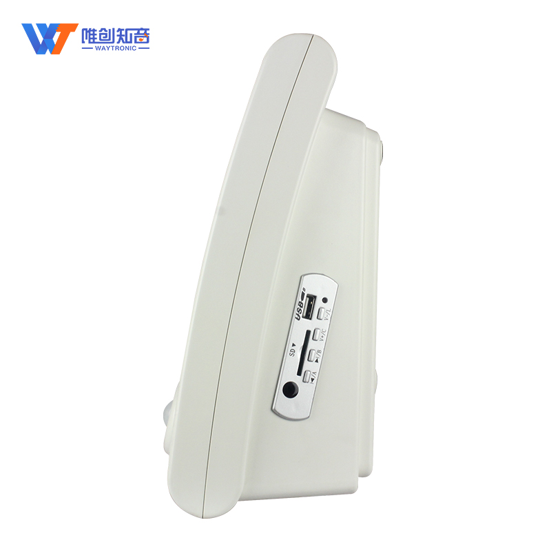 感應(yīng)語音安全提示器